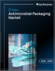 Global Antimicrobial Packaging Market 2026-2030