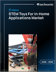 Global Stem Toys For In-Home Applications Market 2026-2030