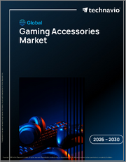 Global Gaming Accessories Market 2026-2030