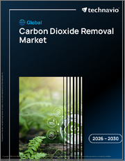 Global Carbon Dioxide Removal Market 2026-2030