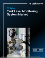 Global Tank Level Monitoring System Market 2026-2030