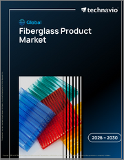 Global Fiberglass Product Market 2026-2030
