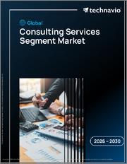 Global Consulting Services Segment Market 2026-2030