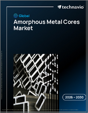 Global Amorphous Metal Cores Market 2026-2030