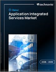 Global Application Integrated Services Market 2026-2030