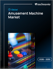 Global Amusement Machine Market 2026-2030