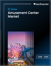Global Amusement Center Market 2026-2030