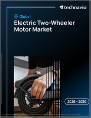 Global Electric Two-Wheeler Motor Market 2026-2030