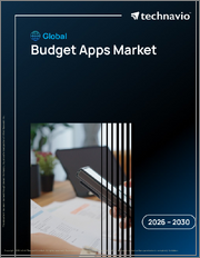 Global Budget Apps Market 2026-2030