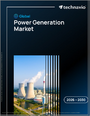 Global Power Generation Market 2026-2030