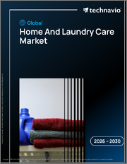 Global Home And Laundry Care Market 2026-2030
