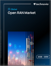 Global Open Ran Market 2026-2030
