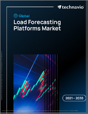 Global Load Forecasting Platforms Market 2021-2025