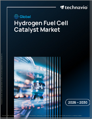 Global Hydrogen Fuel Cell Catalyst Market 2026-2030