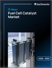 Global Fuel Cell Catalyst Market 2026-2030
