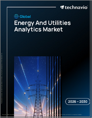 Global Energy And Utilities Analytics Market 2026-2030