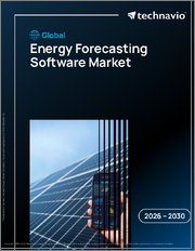 Global Energy Forecasting Software Market 2026-2030