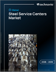 Global Steel Service Centers Market 2026-2030