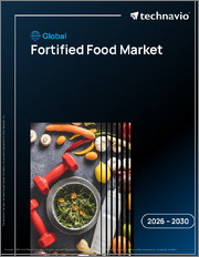 Global Fortified Food Market 2026-2030