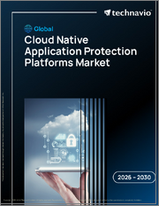 Global Cloud Native Application Protection Platforms Market 2026-2030