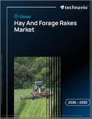 Global Hay And Forage Rakes Market 2026-2030