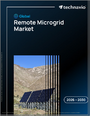Global Remote Microgrid Market 2026-2030