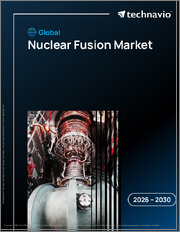Global Nuclear Fusion Market 2026-2030