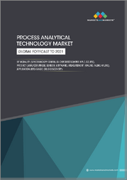 Process Analytical Technology Market by Modality, Product, Measurement, Application - Global Forecast to 2031