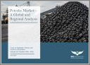 Petcoke Market - A Global and Regional Analysis: Focus on Application, Product, and Country-Level Analysis - Analysis and Forecast, 2026-2035