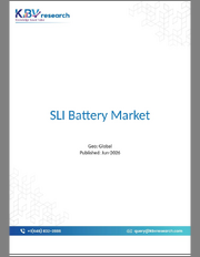 Global SLI Battery Market Size, Share & Industry Analysis Report By Application, By Type, By Capacity, By Regional Outlook and Forecast, 2026 - 2033