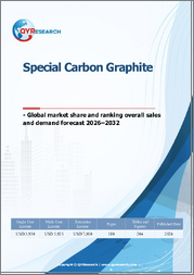 Special Carbon Graphite- Global Market Share and Ranking, Overall Sales and Demand Forecast 2026-2032