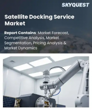 Satellite Docking Service Market Size, Share, and Growth Analysis, By Service Type, By Satellite Type, By Application, By End User, By Region - Industry Forecast 2026-2033