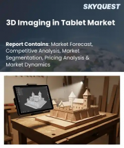 3D Imaging in Tablet Market Size, Share, and Growth Analysis, By Technology (Time-of-Flight (ToF), Structured Light), By Component (Hardware, Software), By Application, By Operating System, By End User, By Region - Industry Forecast 2026-2033