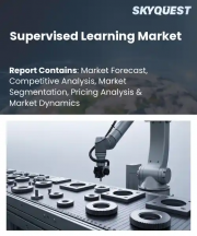 Supervised Learning Market Size, Share, and Growth Analysis, By Algorithm Type (Regression, Classification), By Deployment (Cloud, On-Premises), By Application, By Enterprise Size, By End User, By Region - Industry Forecast 2026-2033