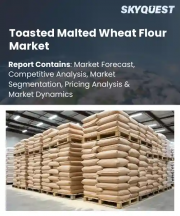 Toasted Malted Wheat Flour Market Size, Share, and Growth Analysis, By Product Type (Diastatic, Non-Diastatic), By Form (Fine Flour, Coarse Flour), By Application, By Distribution Channel, By Region - Industry Forecast 2026-2033