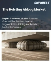 The Hoisting Airbag Market Size, Share, and Growth Analysis, By Product Type (Cylindrical Hoisting Airbags, Pillow Hoisting Airbags), By Material, By Application, By End User, By Capacity, By Region - Industry Forecast 2026-2033