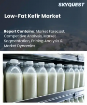 Low-Fat Kefir Market Size, Share, and Growth Analysis, By Product Type (Plain Kefir, Flavored Kefir), By Fat Content (Fat-Free, Low-Fat), By Flavor, By Distribution Channel, By End User, By Region - Industry Forecast 2026-2033