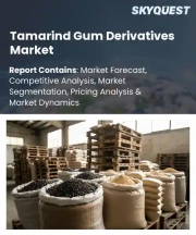 Tamarind Gum Derivatives Market Size, Share, and Growth Analysis, By Product Type (Tamarind Kernel Powder, Carboxymethyl Tamarind Gum), By Application, By End User, By Form, By Grade, By Region - Industry Forecast 2026-2033