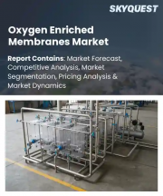 Oxygen Enriched Membranes Market Size, Share, and Growth Analysis, By Membrane Material (Polymeric, Ceramic), By Module Type (Hollow Fiber, Flat Sheet), By Application, By End User, By Region - Industry Forecast 2026-2033