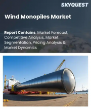 Wind Monopiles Market Size, Share, and Growth Analysis, By Monopile Type (Standard Monopiles, XL Monopiles), By Water Depth, By Foundation Diameter, By Application, By End User, By Region - Industry Forecast 2026-2033