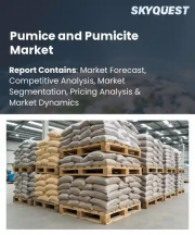 Pumice and Pumicite Market Size, Share, and Growth Analysis, By Product (Pumice, Pumicite), By Form (Crude, Processed), By Application, By End User, By Distribution Channel, By Region - Industry Forecast 2026-2033