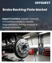 Brake Backing Plate Market Size, Share, and Growth Analysis, By Material (Steel, Stainless Steel), By Vehicle Type, By Brake Type, By Sales Channel, By End User, By Region - Industry Forecast 2026-2033