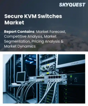 Secure KVM Switches Market Size, Share, and Growth Analysis, By Security Certification, By Number of Ports, By Interface, By End User, By Distribution Channel, By Region - Industry Forecast 2026-2033