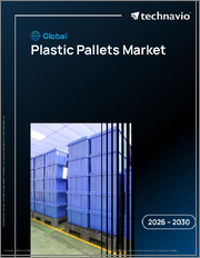 Global Plastic Pallets Market 2026-2030