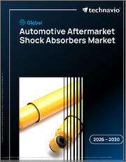 Global Automotive Aftermarket Shock Absorbers Market 2026-2030