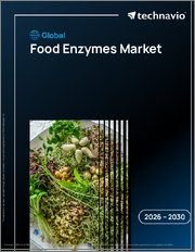 Global Food Enzymes Market 2026-2030
