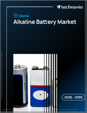 Global Alkaline Battery Market 2026-2030