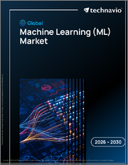 Global Machine Learning (ML) Market 2026-2030
