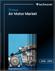 Global Air Motor Market 2026-2030