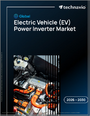 Global Electric Vehicle (EV) Power Inverter Market 2026-2030